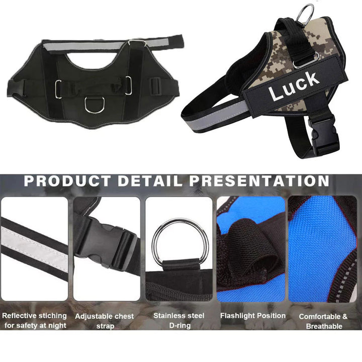 ARNÊS ELITEWALK animais personalize nome e contacto CÃO E GATO