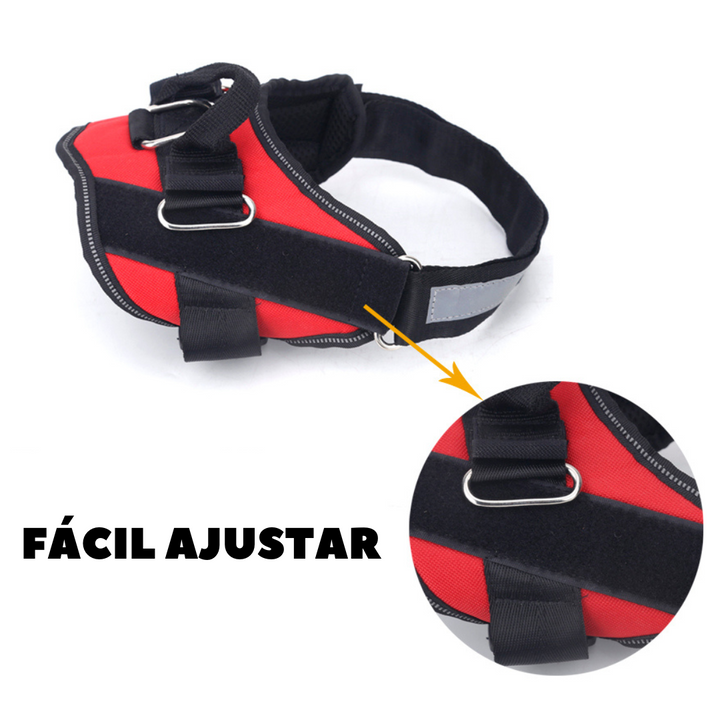 ARNÊS ELITEWALK animais personalize nome e contacto CÃO E GATO