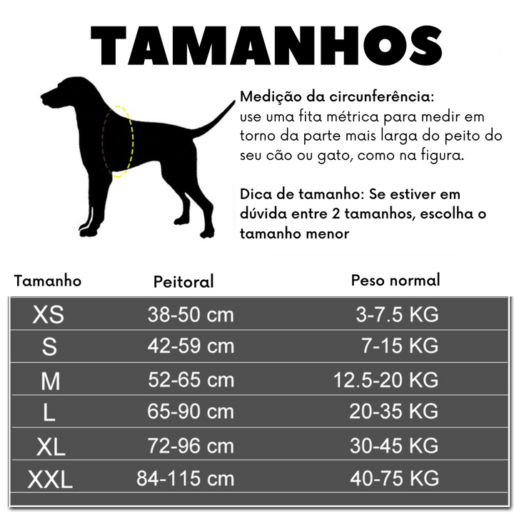 ARNÊS ELITEWALK animais personalize nome e contacto CÃO E GATO