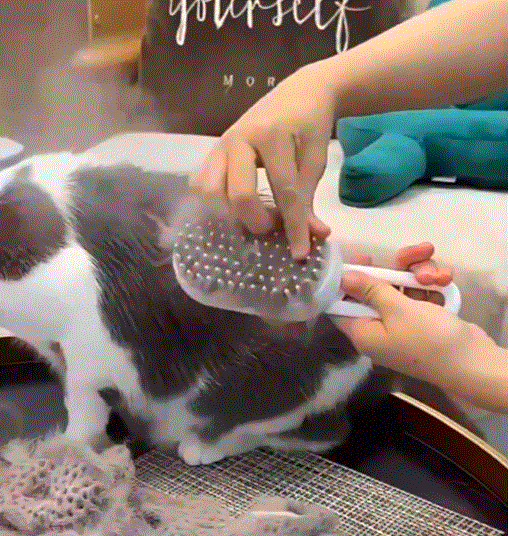 Revolucionária Escova a vapor 3-1 para cães e gatos Limpeza Eficiente, Banho Relaxante e Penteado Perfeito! Descubra a Inovação em Cuidados com Animais de Estimação com Nossa Escova de Limpeza a Vapor para Gatos e Cães