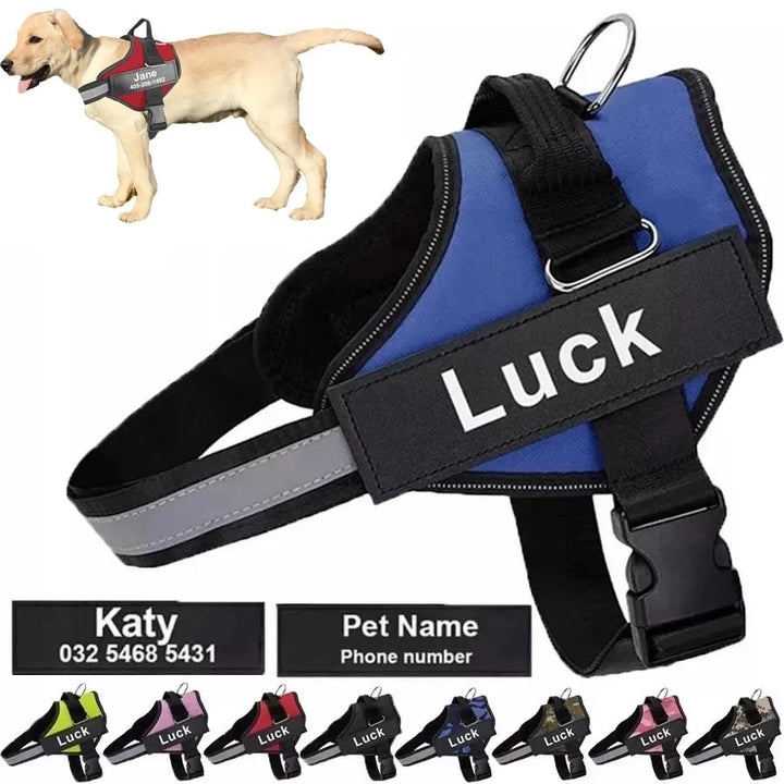 ARNÊS ELITEWALK animais personalize nome e contacto CÃO E GATO