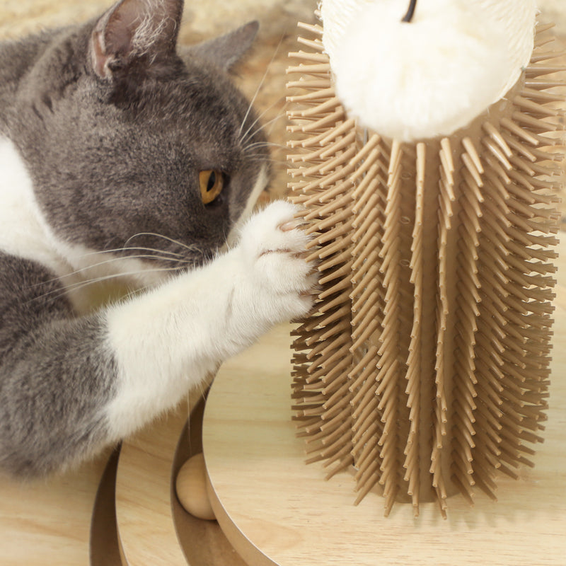 Arranhador para Gatos 49 cm Mini Arranhador para Gatos com Poste de Sisal Calhas com Bola de Jogar Pena e Bola de Brincar Carvalho