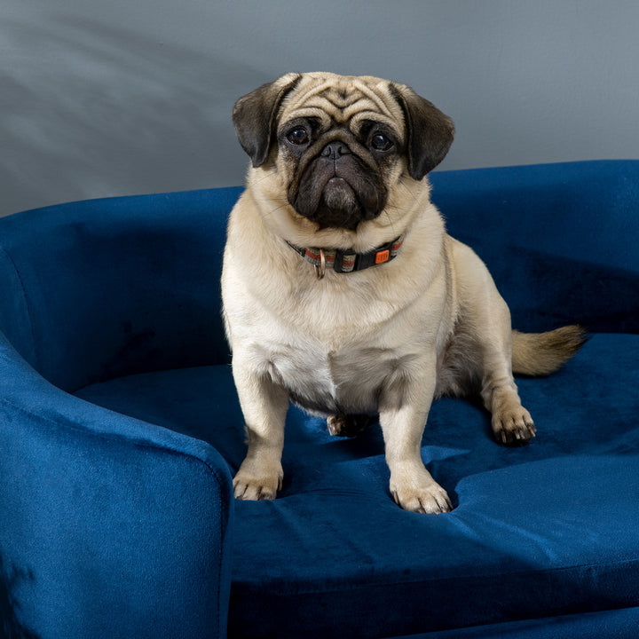 Sofá para Cães Pequenos Cama Elevada para Cães com Pés de Madeira Almofada Removível e Capa Lavável Carga 10 kg 86x55x33 cm Azul