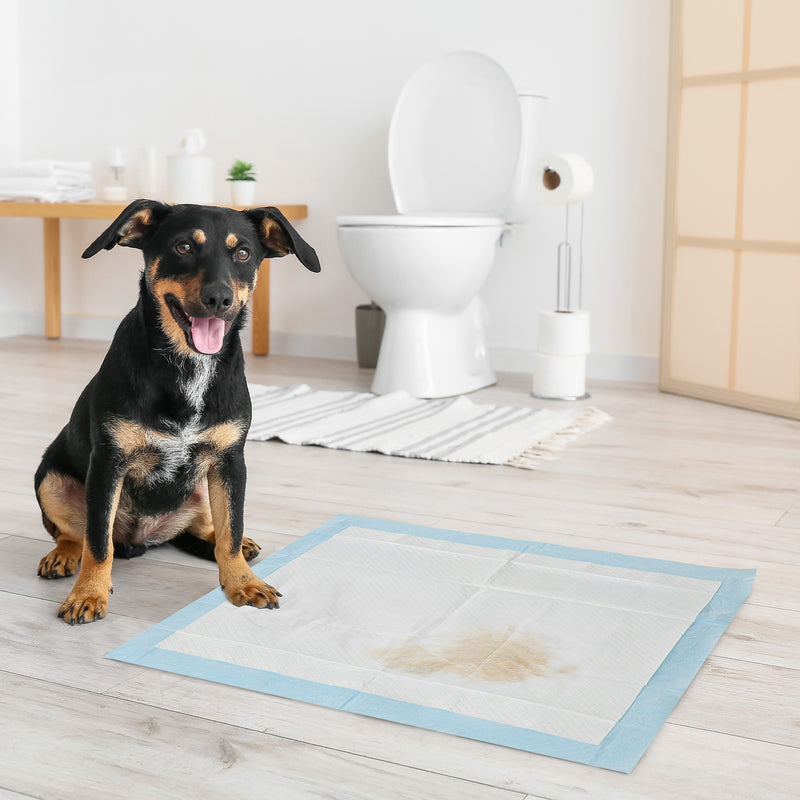 Resguardos de Treino Animais de Estimação 80 Unidades 45x60 cm Resguardos Absorventes para Cães Desenho com 6 Camadas com Superfície de Secagem Rápida Azul