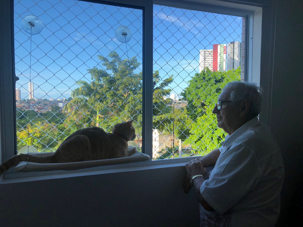 Qican Poleiro para janela de gato Rede para janela de gato Prateleira de  descanso para gatos 360 ° Assento ensolarado para gatos Ventosas montadas