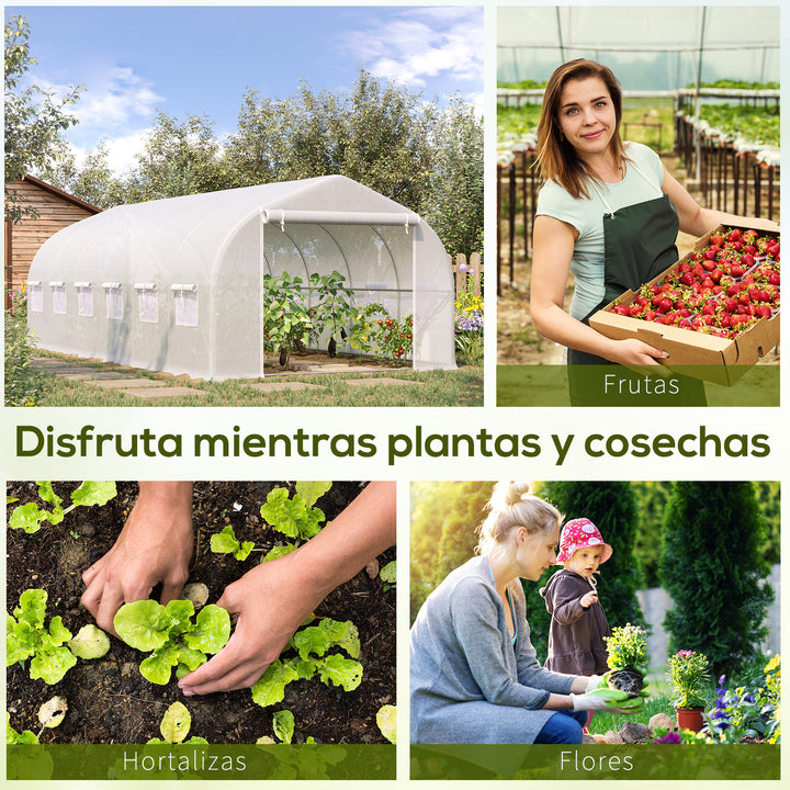 Estufa de Túnel 595x300x200cm Estufa de Jardim Grande com 12 Janelas e Porta Enrolável com Zíper para Cultivo de Plantas Branco