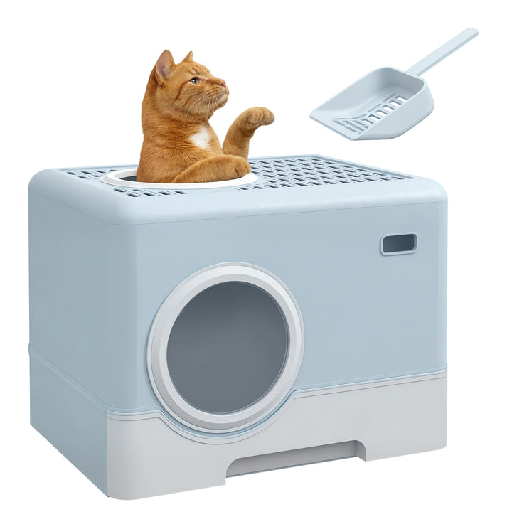 Caixa de Areia para Gatos Sanita para Animais de Estimação com Pá Bandeja Removível 2 Portas Entrada Frontal e Saída Superior 52x41x38,5 cm Azul Claro