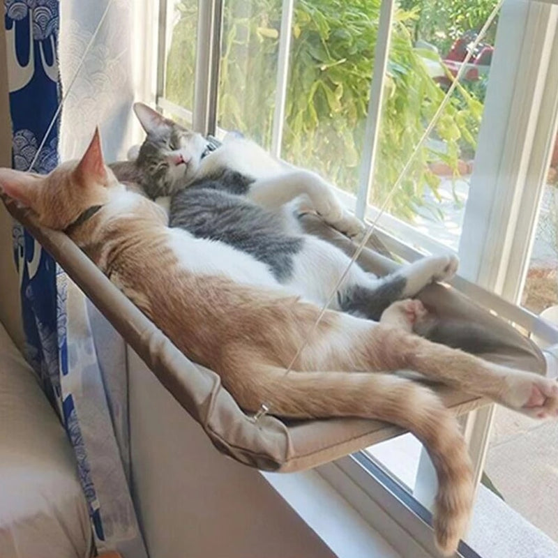 Qican Poleiro para janela de gato Rede para janela de gato Prateleira de  descanso para gatos 360 ° Assento ensolarado para gatos Ventosas montadas