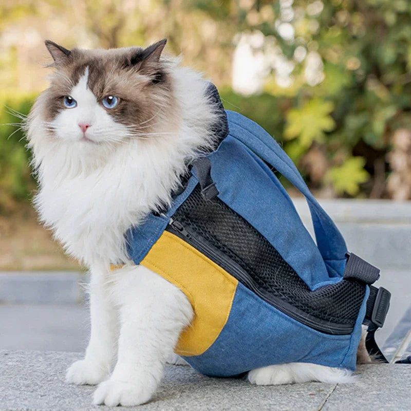 CatVenture Mochila de Transporte para Gatos - Bolsa de Lona Confortável e Segura com Alças Ajustáveis Conforto e Segurança em Algodão Durável