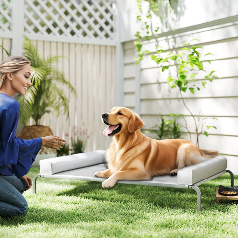 Cama Elevada para Cães com Latertais Amovíveis Cama Elevada para Cães Grandes Portátil com Malha Respirável Estrutura de Aço para Interior e Exterior 130x90x30 cm Cinza Claro