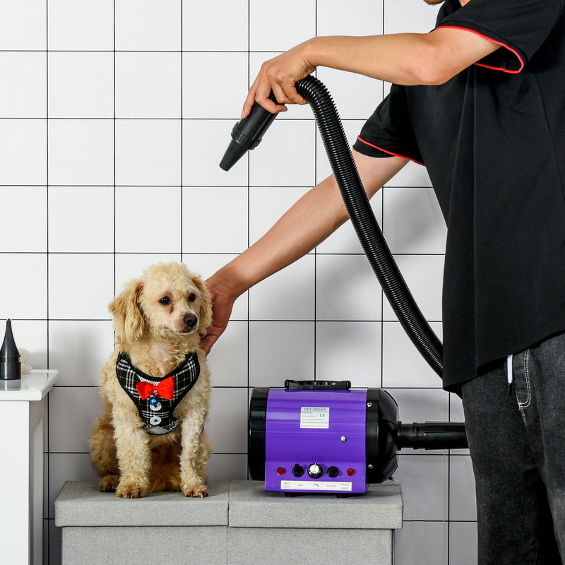 Secado de Pelo para Cães 2800W Secador de Pelo para Animais de Estimação com Temperatura e Velocidade Ajustável 3 Bicos Tubo Flexível 2,1m e Alça de Transporte 40x16x20cm Roxo