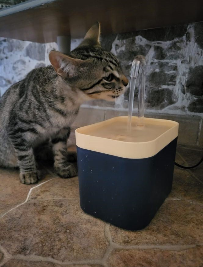 Fonte de Água Ultra Silenciosa com Filtro Inteligente de 1.5L