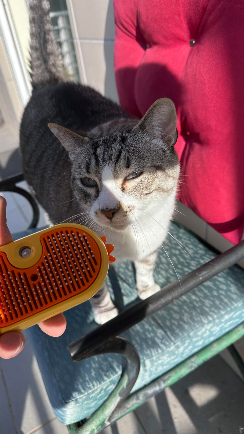 Escova a Vapor MILOX* para gatos e cães - O removedor de pêlo mais eficaz de sempre! Entrega rápida, produto novo em Portugal