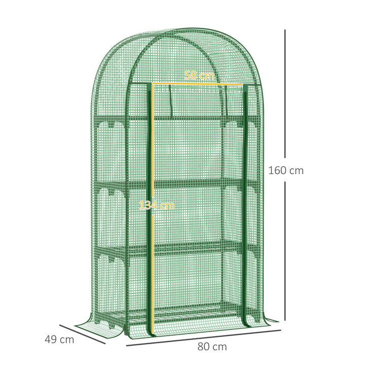 Estufa de Jardim com 4 Prateleiras Metálicas Porta Enrolável e Cobertura de PE Estufa de Varanda para Cultivo de Plantas Flores 80x49x160cm Verde