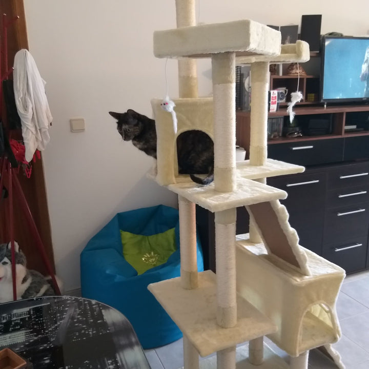 Arranhador 180 CM de Altura