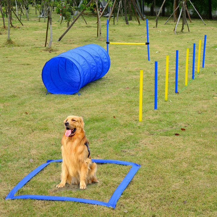 Kit de treinar cães
