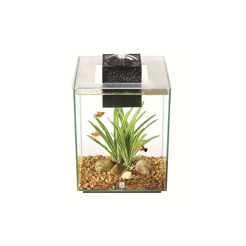 AQUÁRIO FLUVAL CHI, 19L