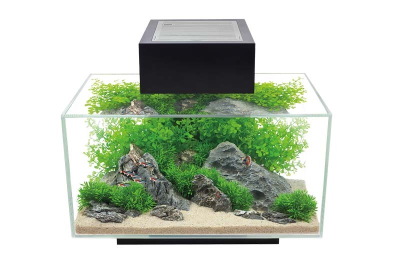 AQUÁRIO FLUVAL EDGE 2.0, Negro, 23L