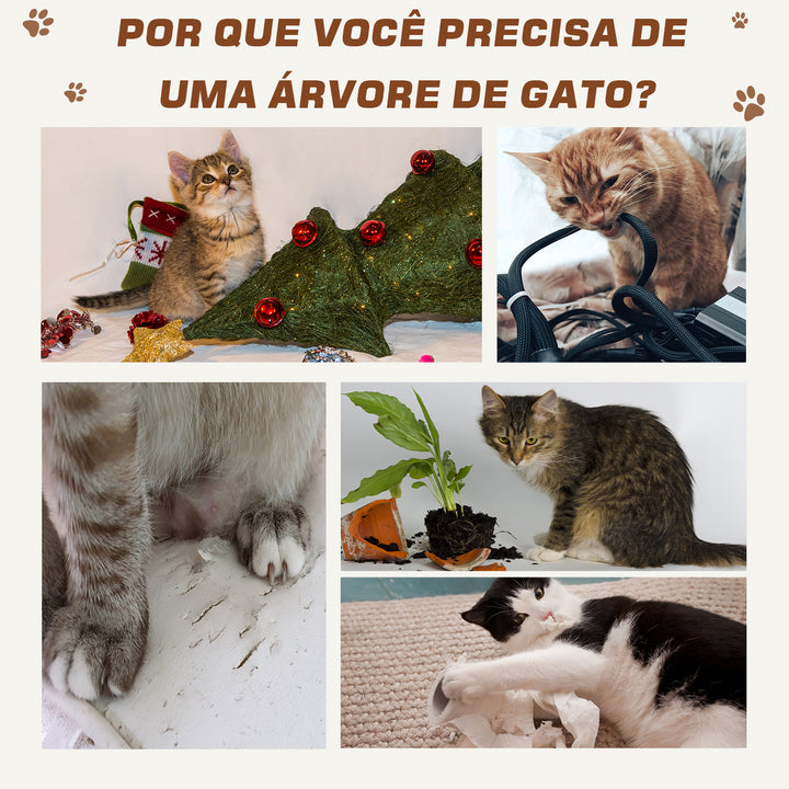Árvore para Gatos Raspador  55x30x100cm