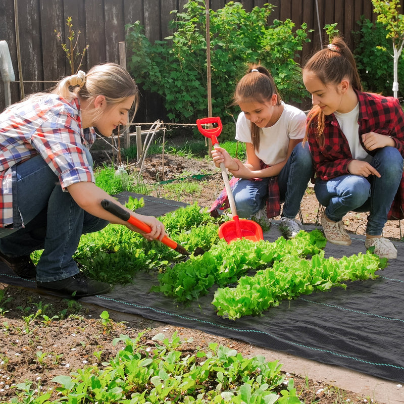 Rolo de Malha Anti-Ervas 1x100 m Malha Geotêxtil 60 g/m² para Controlo de Ervas Daninhas de Jardim Malha Anti-Ervas Preta