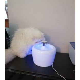 2.5L Fonte de Agua Automatica Gato ou Cão