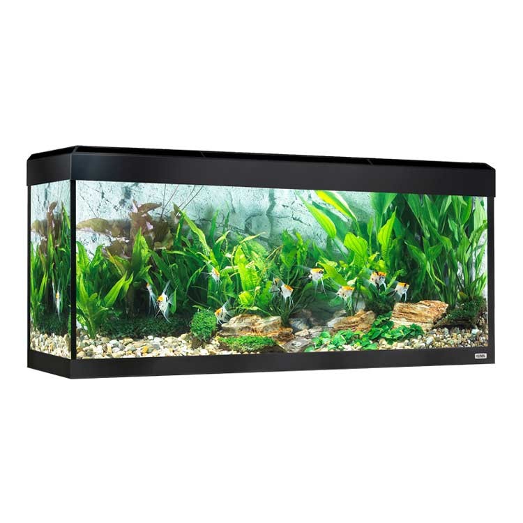 Fluval Roma Acuario LED Bluetooth 240L, Negro