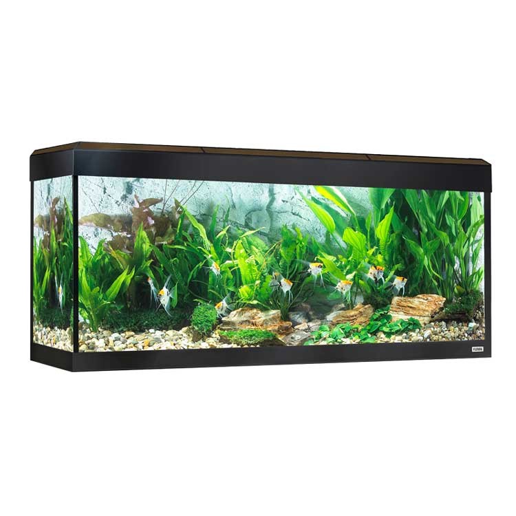 Fluval Roma Acuario LED Bluetooth 240L, Nogal