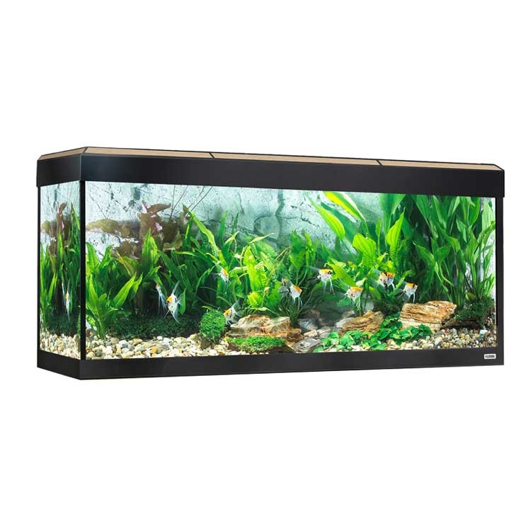 Fluval Roma Acuario LED Bluetooth 240L, Roble