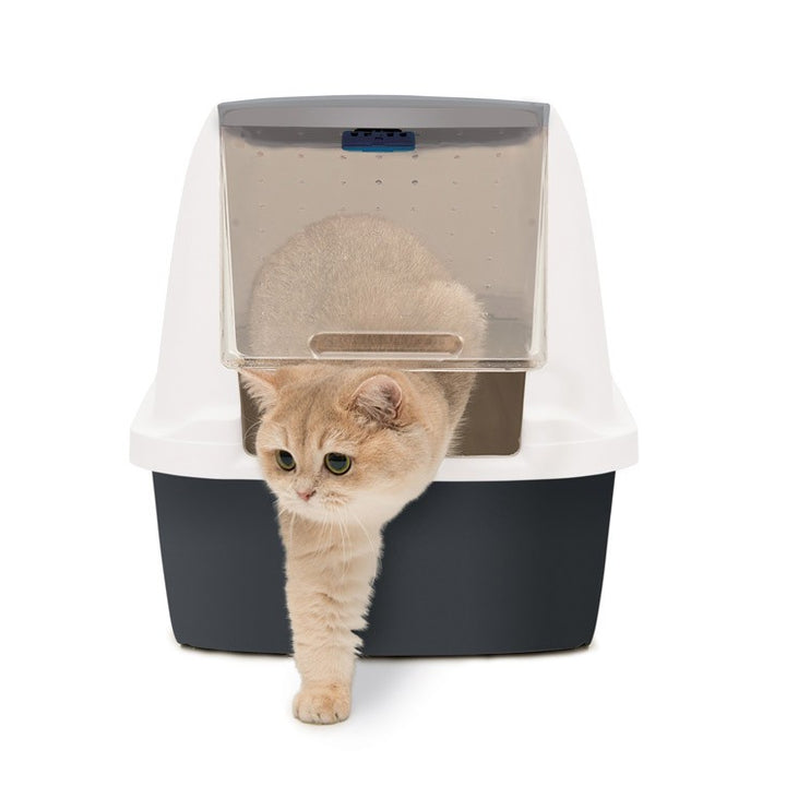 Catit Arenero Magic Blue, Mediana