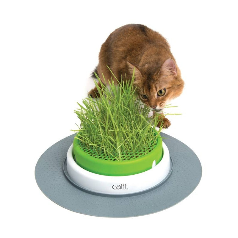 Catit Senses 2.0 Germinador Con Hierba Gatera