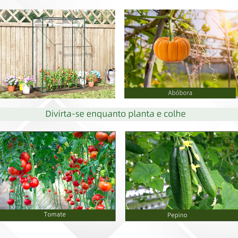 Estufa com Porta Enrolável e Estrutura de Aço Estufa de Jardim Varanda Pátio para Cultivo de Plantas 100x50x150 cm Transparente