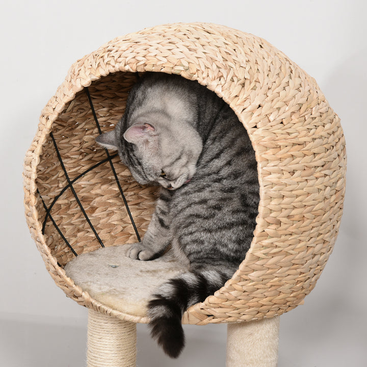 Árvore arranhador para gatos Torre de escalada com plataformas caverna corda de brincar poste de sisal 48x40x100 cm Bege